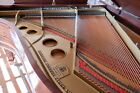 Steinway grand piano, Completely rebuilt and refinished, African Mahogany, 1907