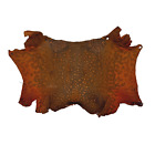 Bufo Marinus Cane Toad Skin Taxidermy Dyed Leather Matte Orange/Gray Highlights