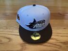 NEW CapCity Exclusive Tampa Bay Devil Rays 10 Seasons Fitted Hat Size 7 3/8