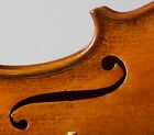 very old vintage 4/4 violin Geige viola cello labeled GAETANO GADDA Nr. 251