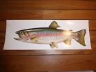 Vintage Lithographed Fishing Sporting Goods Store Paper Sign Advertising 22x8