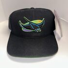 Tampa Bay Devil Rays Vintage Snapback Hat American Needle Official MLB. 20% Wool