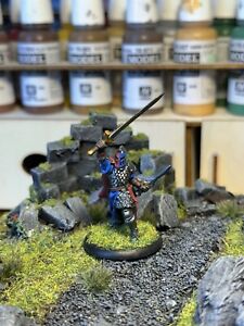 dnd, Frostgrave, Pathfinder, Wargames Hand Painted Knight
