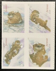 2021 Scott #5648-51, Forever, OTTERS IN SNOW - MNH - Block of 4 Booklet Stamps
