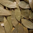 Dehydrated Cinnamon Leaves Ceylon 100% Natural 50g