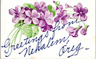 Nehalem, Oregon Postcard (1909)  Greetings From..