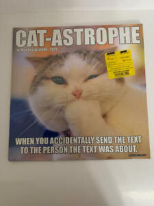 Cat-Astrophe 2021 Wall Calendar (Use Images for Crafts or Frame as Wall Art)
