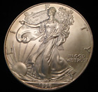 1996 $1 American Silver Eagle Gem BU Uncirculated - some toning