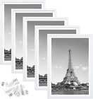 13X19 Picture Frame Set of 5, Display Pictures 11X17 with Mat
