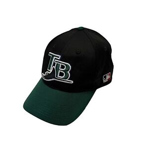 Vintage Tampa Bay Devil Rays Team MLB Alternate Color Hat Cap