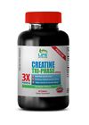 Extreme Muscle Growth - Creatine Tri-Phase 3X 5000mg - Super Pills Deal 1 Bottle