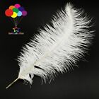 10 pcs 30-35cm / 12-14inch Wedding Ostrich Feathers Crafts White Large DIY Plume