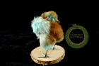 Alien Green Dyed Chick Taxidermy Domestic Poultry Pink Metalic Eyes
