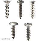 Stainless Steel Phillips Drive Sheet Metal Tapping Screws Grade 18-8 Qty 50 pc