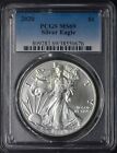 2020 American Silver Eagle PCGS MS69 Blue Label ✪COINGIANTS✪