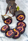 100+ Black Nebula Carrot Seeds - Heirloom - Organic - NON GMO - FRESH ----- RARE