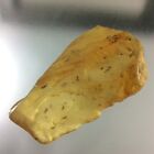 Genuine Natural AMBER 56 Cts Raw Rough FOSSIL insect inclusion Antique Gem Y5
