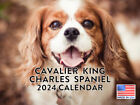 Cavalier King Charles Spaniel 2024 Wall Calendar