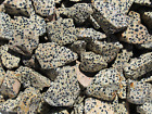 Dalmatian Jasper - Rough Rocks for Tumbling - Bulk Wholesale 1LB options