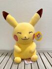 NEW Pokémon Large Stuffed Plushie: Cafe Art Edition- Pikachu - Japan