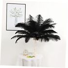New Listing Natural Ostrich Feathers Bulk 16-18 inches (40-45cm) for Wedding Black 10pcs