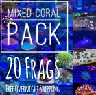 Frag pack live coral 20 Mixed Frags! Free Overnight Shipping