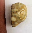 Rare marine stone shaped like a human face, natural