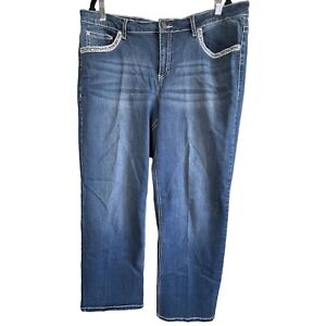 Earl Jeans Womens Straight Leg Embroidered Rhinestone Stretch 20W