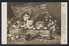 Cat kittens wicker - A PRESENT FROM NICE - Salon Leon Huber - #5263 RPPC
