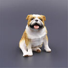 JJM British Bulldog Dog Pet Figure Canidae Animal Car Decoration Collector Toy