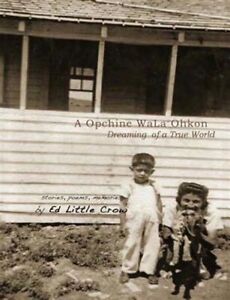 Dreaming of a True World : A Opchine Wala Ohkon, Paperback by Crow, Ed Little...