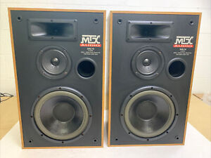 Nice Vintage MTX AUDIO AAL10 Floor Speakers!