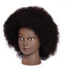 Cosmetology Mannequin Beauty School Afro Curly Textured 100% Human Hair Head ...