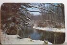 Scenic Winter Wilderness Rustic Beauty Postcard Old Vintage Card View Standard
