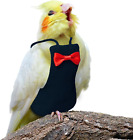 Bird Diaper Washable Parrot Diapers Reusable Bird Flight Suit Nappies Protective