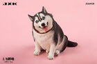 1/6th JXK JXK092B Resin Fat Husky Animal Statue dog Model Fit 12'' Figure  Toys