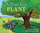 A Tree Is a Plant by Bulla, Clyde Robert Bulla