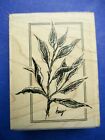 New ListingSKETCHED BAY LEAVES STAMPINGTON RUBBER STAMP WOOD MTD M4202