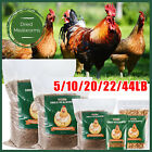 Lot Bulk Dried Mealworms Non-GMO Organic High Protein For Chicken Treats Birds