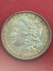 1887 P Morgan Silver Dollar - Toned Silver Dollars- US Coins - Raw