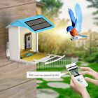 Wireless Wi-Fi HD Video Smart Bird Feeder Bird House w/ Camera Solar Panel Roof