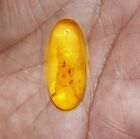 7.00 Cts. Natural Genuine Old Baltic Amber Untreated Certified Gemstone