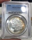 1886 Morgan Dollar graded MS64 by PCGS Gorgeous Rim Toning Great Luster PQ+
