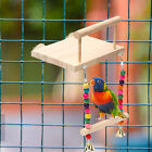 Bird Swing Easy Installation Relieve Boredom Bird Stand Rack Swing with Bells