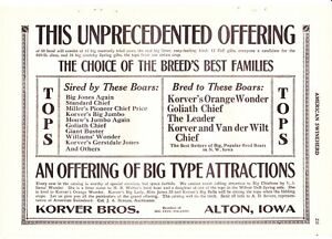 1919 American Swineherd Hog Sales  Korver Alton  Bloemendaal Mouw Orange City IA