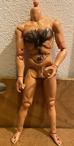 Volks Male Doll Body Fully Articulated “ Guy Color”