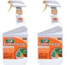 Bonide 775 32 oz Ready To Use Copper Fungicide Garden Disease Spray - Pack of 2