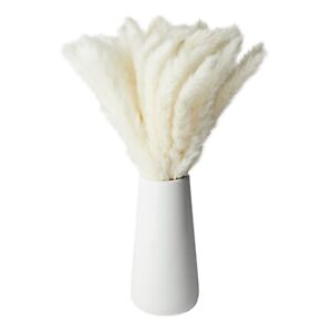 40 Pack Dried White Pampas Grass with Ceramic Vase for Home Decor, 16 In