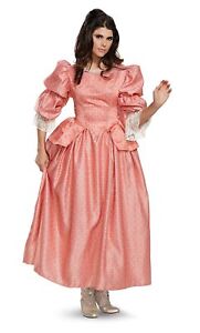 Disguise Disney Pirates of the Caribbean Carina Deluxe Adult Costume, Small 4-6