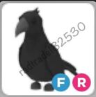 Fly Ride Crow | Adopt your Pet from Me | Fast Delivery